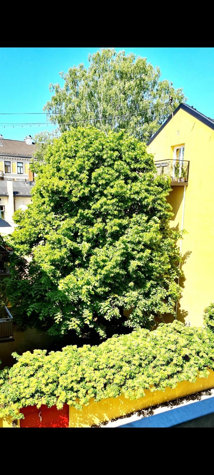 Modern Central Apartment Next To Beautiful Nature2424 Oslo Zewnętrze zdjęcie
